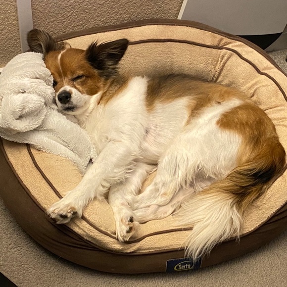 Meet your Posher, Michelle - Picture 1 of 1